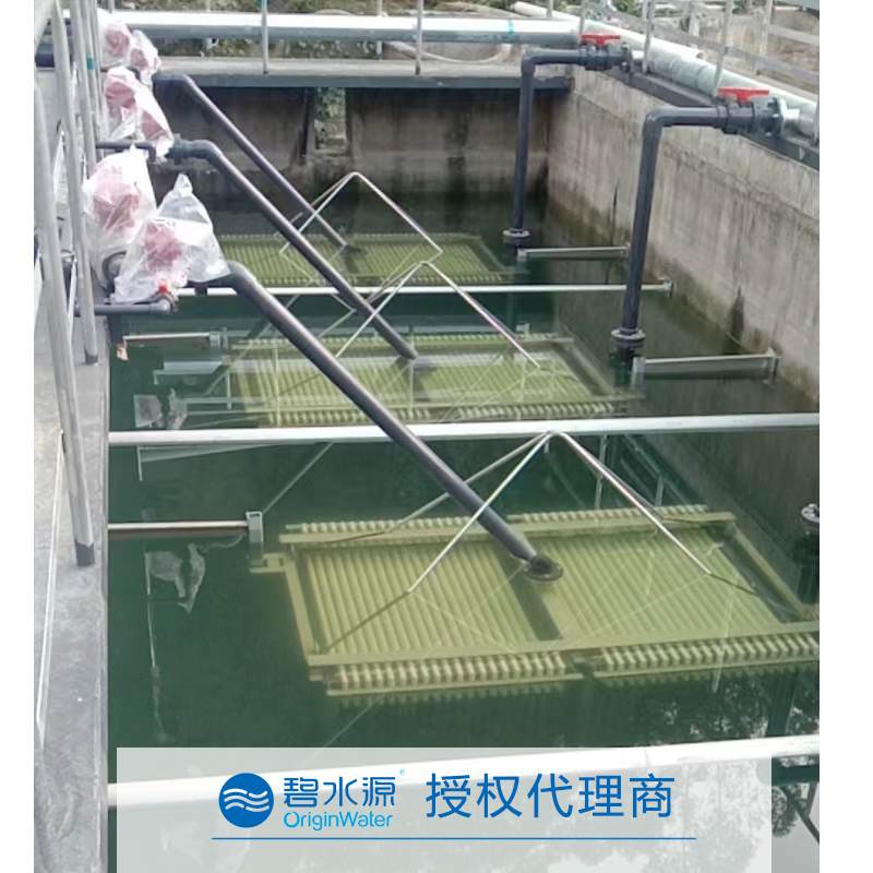 碧水源mbr膜生物反應(yīng)器中菌種活性辨別